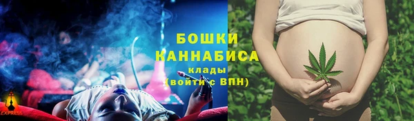 каннабис Белокуриха