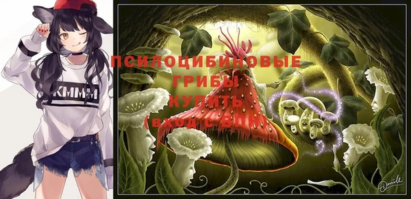 гидропоника Беломорск